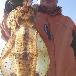 シースナイパー海龍 釣果