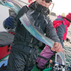 金沢八景鴨下丸 釣果