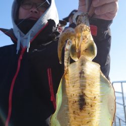 シースナイパー海龍 釣果