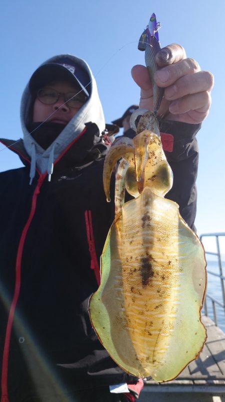 シースナイパー海龍 釣果