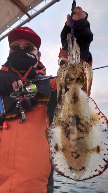 シースナイパー海龍 釣果
