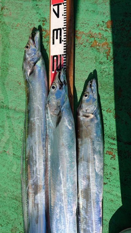 金沢八景鴨下丸 釣果