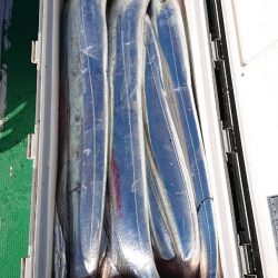 金沢八景鴨下丸 釣果