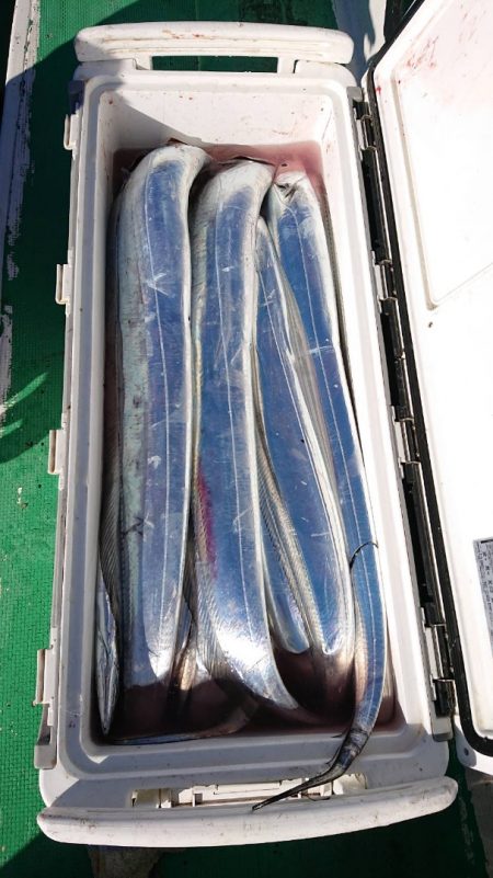 金沢八景鴨下丸 釣果