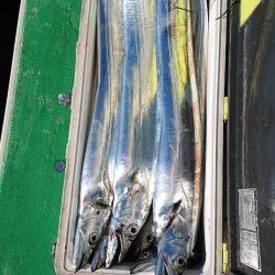 金沢八景鴨下丸 釣果