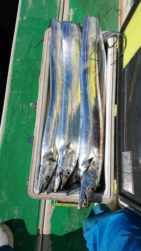 金沢八景鴨下丸 釣果