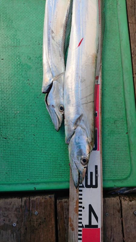 金沢八景鴨下丸 釣果