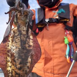 シースナイパー海龍 釣果