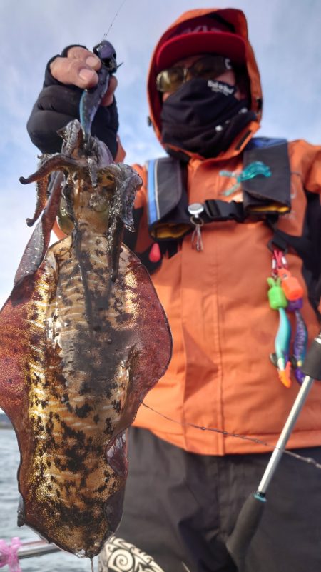 シースナイパー海龍 釣果