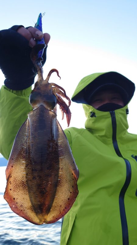 シースナイパー海龍 釣果
