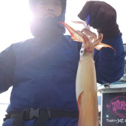 シースナイパー海龍 釣果