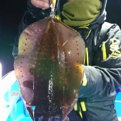 第三共栄丸 釣果