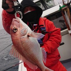 だて丸 釣果