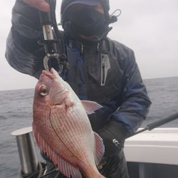 だて丸 釣果