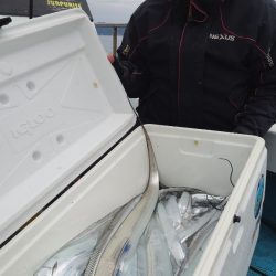 シースナイパー海龍 釣果