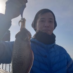 シースナイパー海龍 釣果