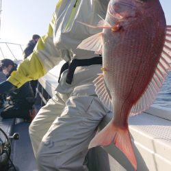 だて丸 釣果