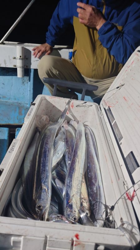 シースナイパー海龍 釣果