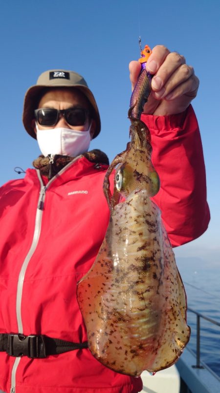 シースナイパー海龍 釣果