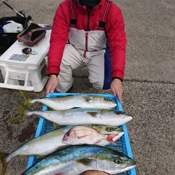 第三共栄丸 釣果