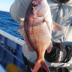新幸丸 釣果
