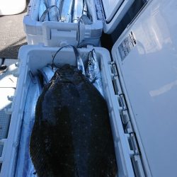 遊漁船 家入 釣果