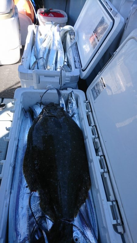 遊漁船 家入 釣果