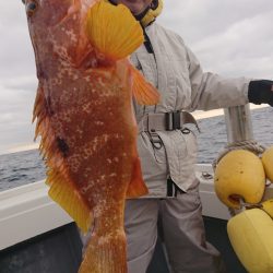 だて丸 釣果