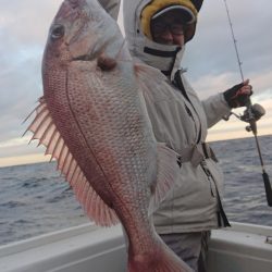だて丸 釣果