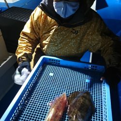 第三共栄丸 釣果