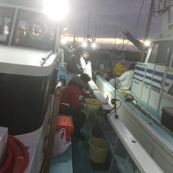 金沢八景鴨下丸 釣果