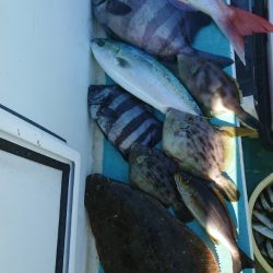 金沢八景鴨下丸 釣果