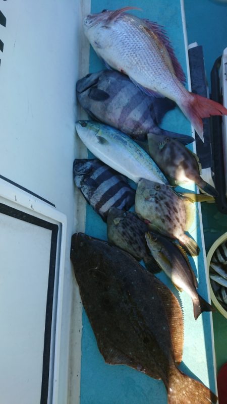 金沢八景鴨下丸 釣果