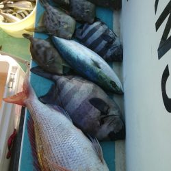 金沢八景鴨下丸 釣果