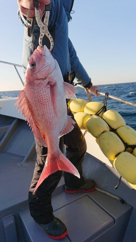 だて丸 釣果