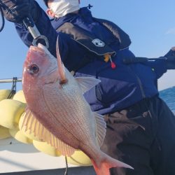 だて丸 釣果