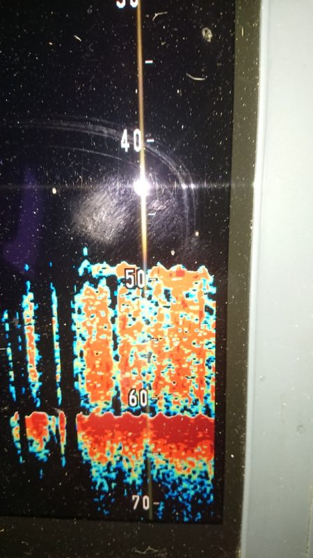 金沢八景鴨下丸 釣果