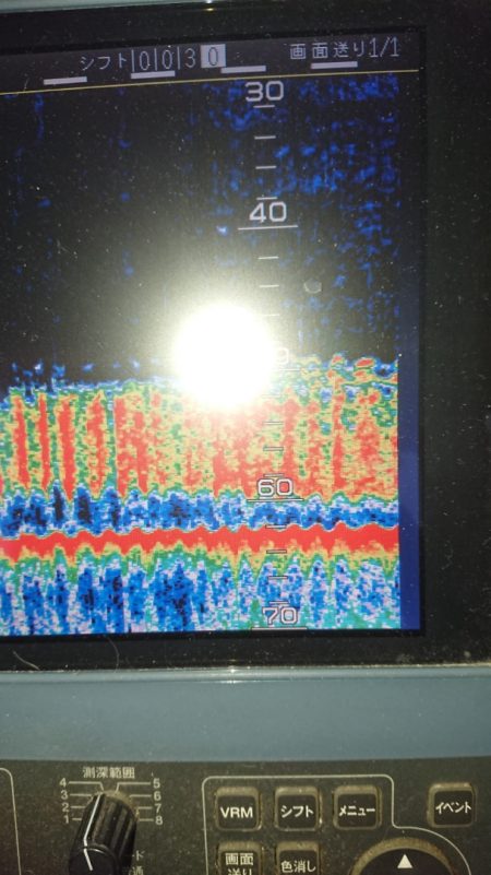 金沢八景鴨下丸 釣果