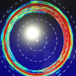 金沢八景鴨下丸 釣果