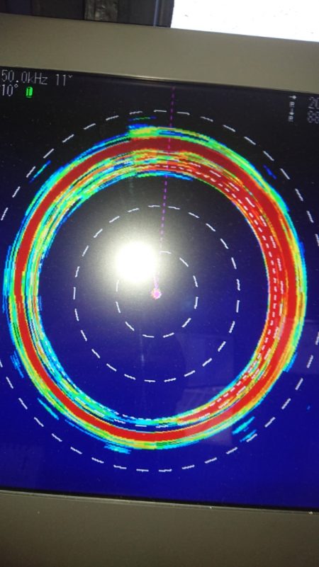 金沢八景鴨下丸 釣果