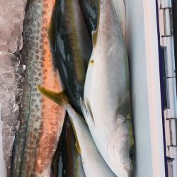 海龍丸（石川） 釣果