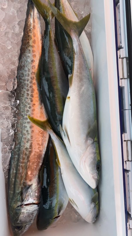 海龍丸（石川） 釣果