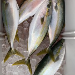 海龍丸（石川） 釣果