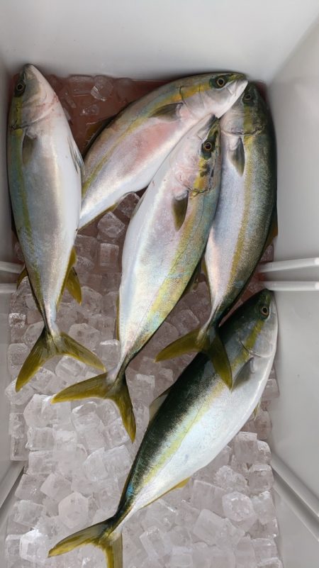 海龍丸（石川） 釣果