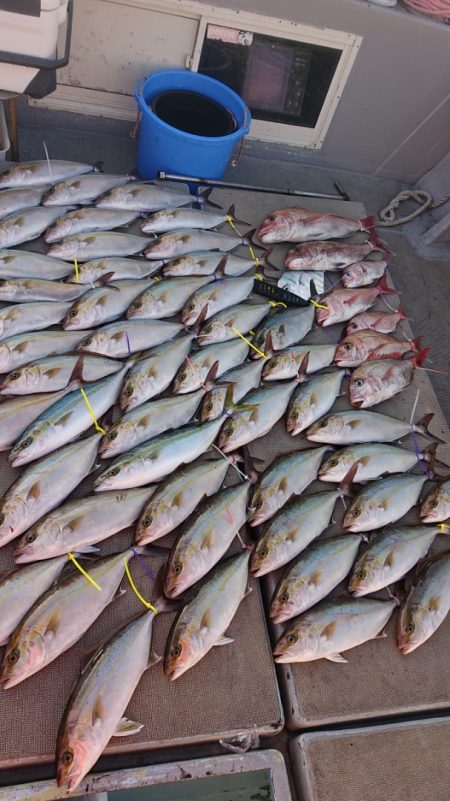 海皇丸 釣果