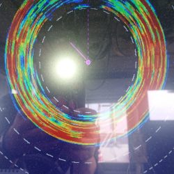 金沢八景鴨下丸 釣果