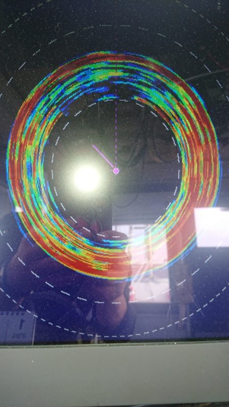 金沢八景鴨下丸 釣果