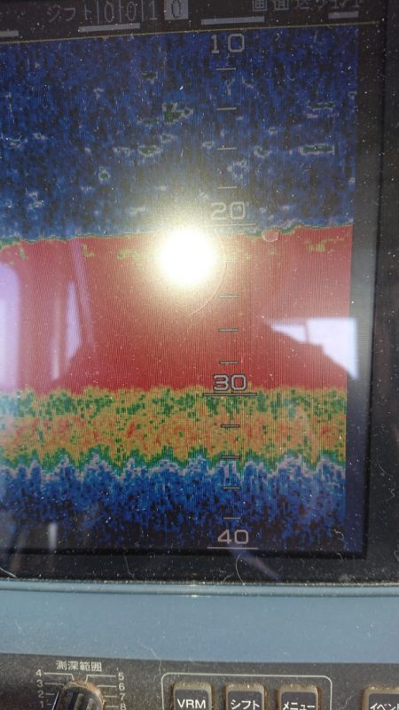 金沢八景鴨下丸 釣果