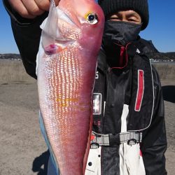 第三共栄丸 釣果