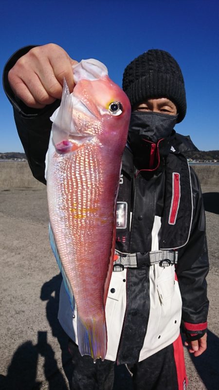 第三共栄丸 釣果